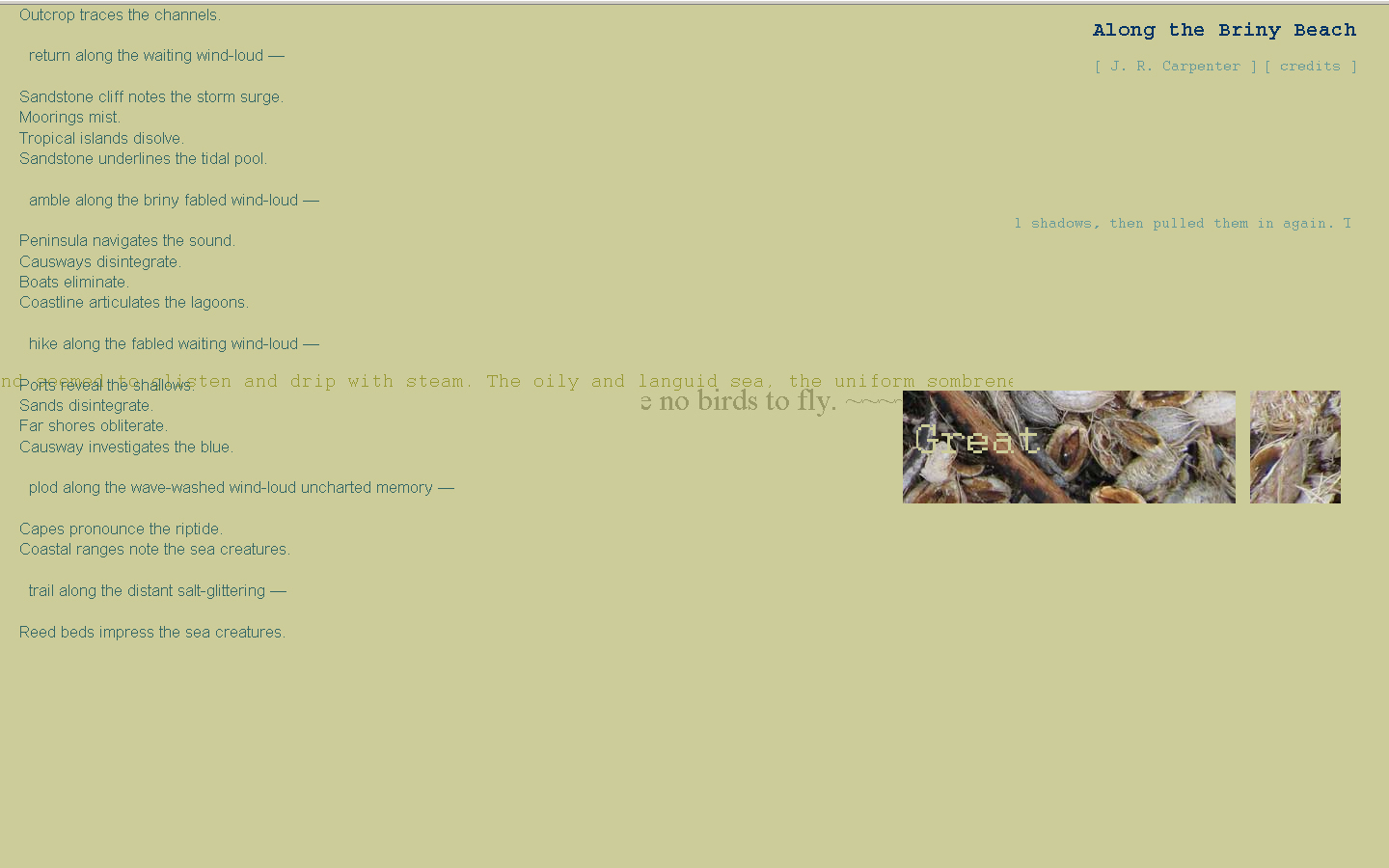 brinybeach_screenshot1.jpg