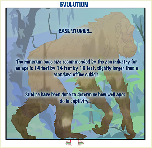 evolution1.jpg