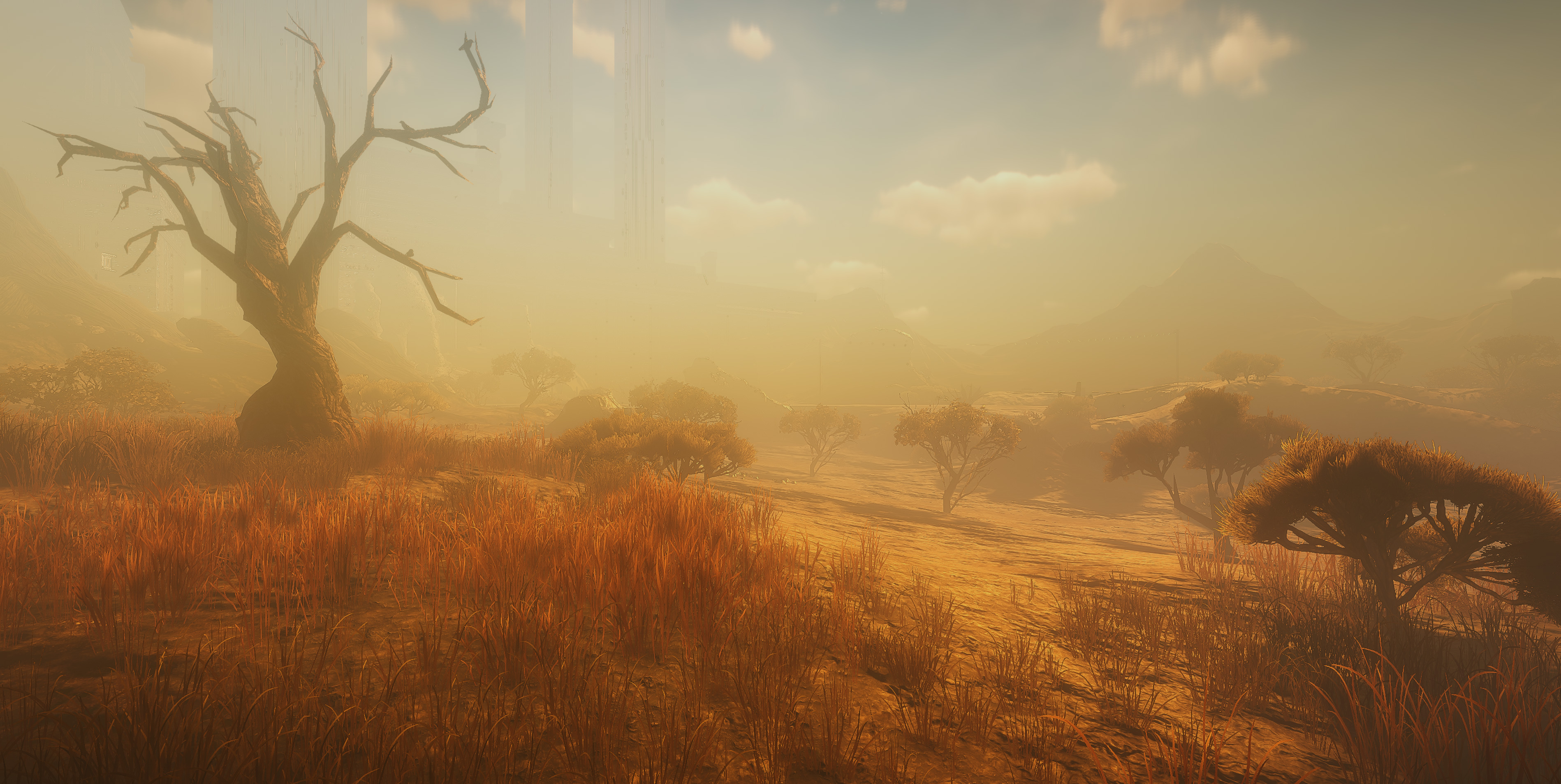 perpetual-nomads-2.jpg