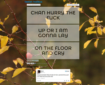 tweethaikus.png